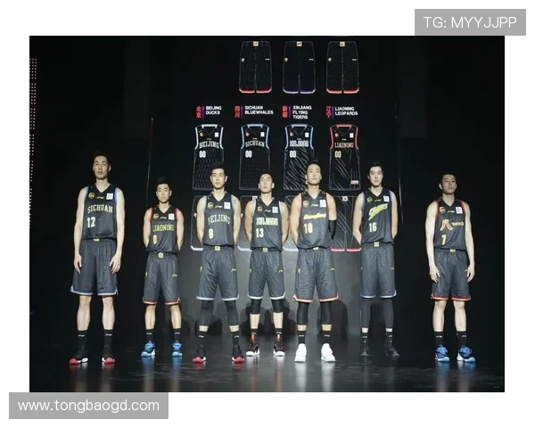 中国知名CBA篮球队介绍及球队特色解析