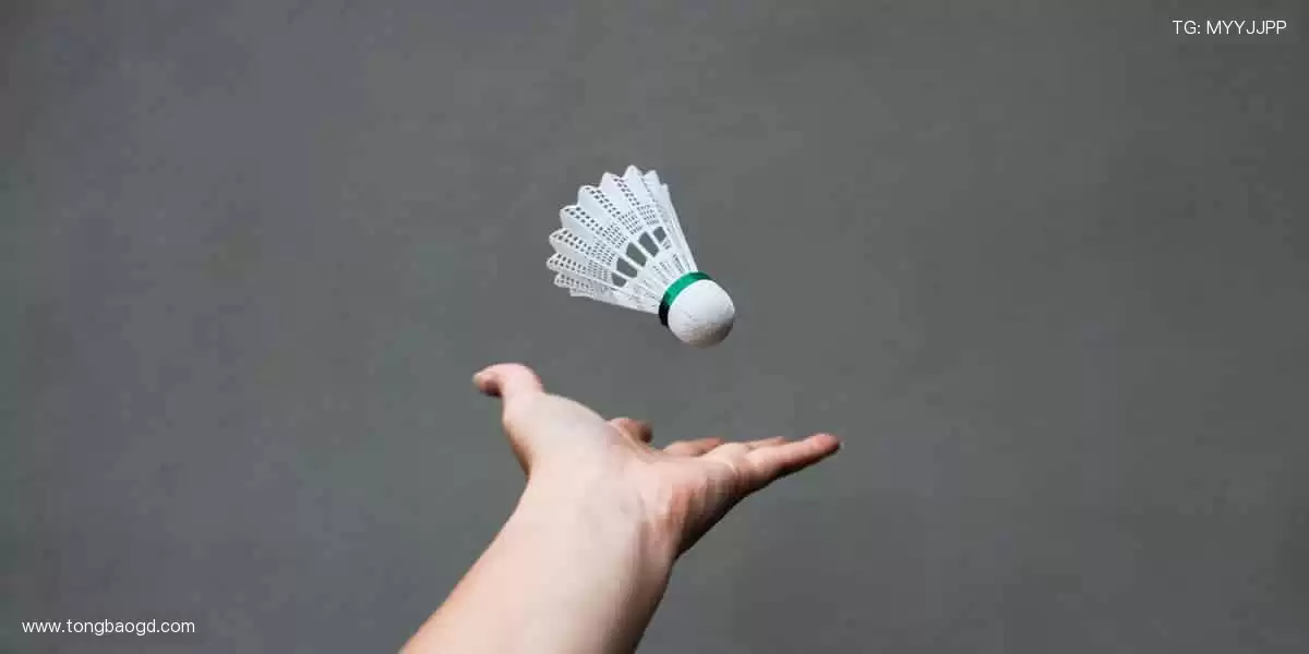 📺 实时直击，让热爱零距离！